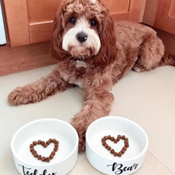 Cute Bowls for Cute Pups