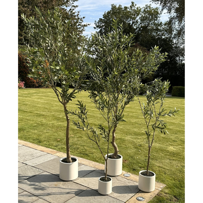 Artificial Olive Tree in Pot 240cm - Large