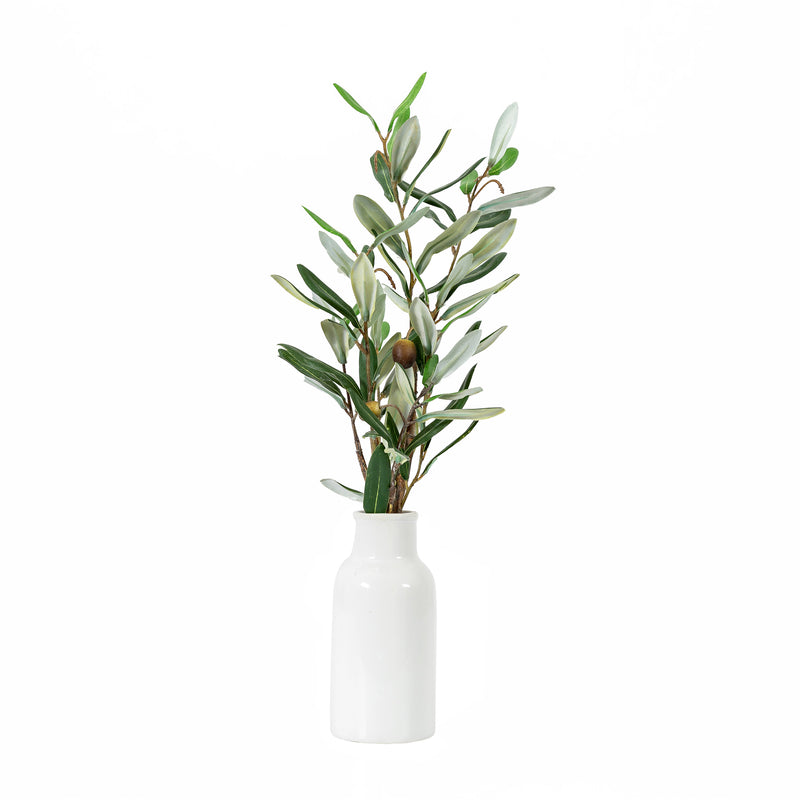 White Vase with Olive Stems